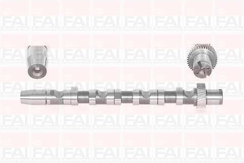Camshaft C244