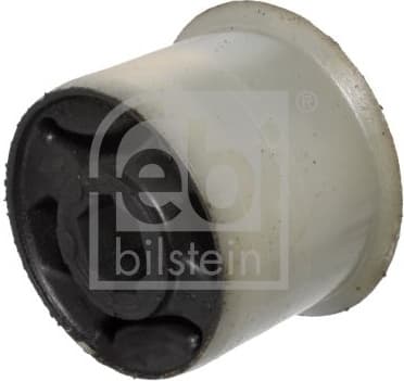 Mounting, control/trailing arm 31253