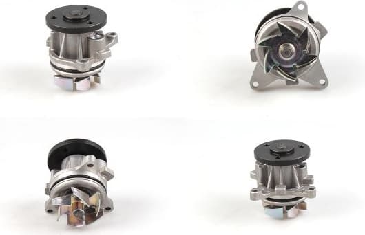 Water Pump, engine cooling P251