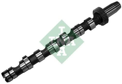 Camshaft 428015710