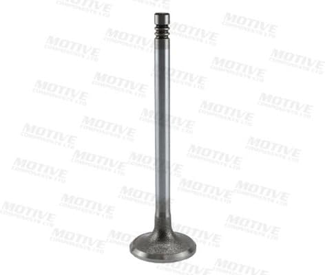 Intake Valve IV4985