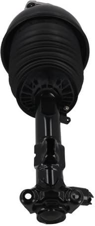 Air Suspension Strut 2070110