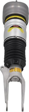 Air Suspension Strut 2070105