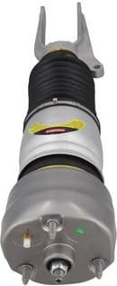 Air Suspension Strut 2070105 - image 3