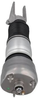 Air Suspension Strut 2070105 - image 4