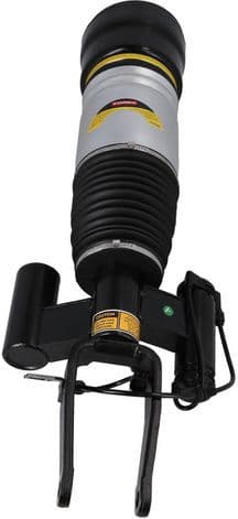 Air Suspension Strut 2070033