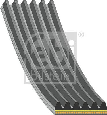 V-ribbed Belt 181287