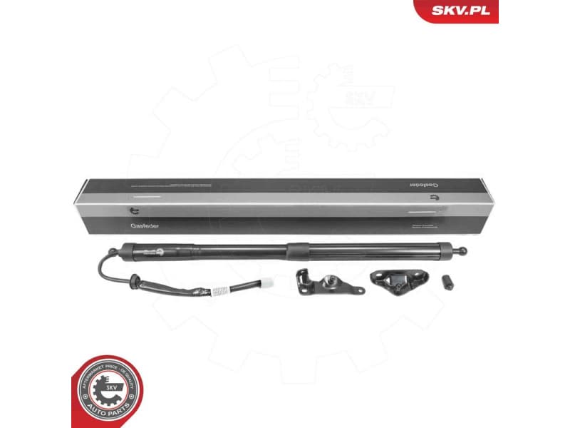 Electric Motor, tailgate 52SKV263