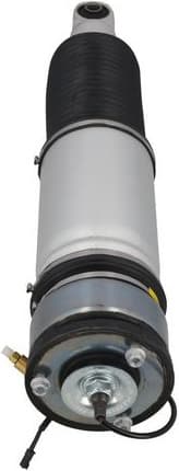 Air Suspension Strut 2070099 - image 3