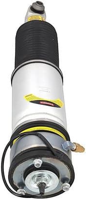 Air Suspension Strut 2070099 - image 4