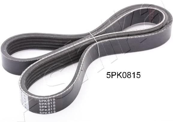 V-ribbed Belt 112-5PK815