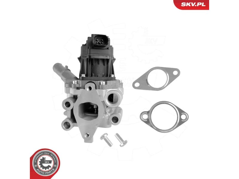 EGR Valve 14SKV312