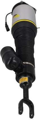 Air Suspension Strut 2070049