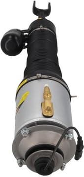 Air Suspension Strut 2070049 - image 3