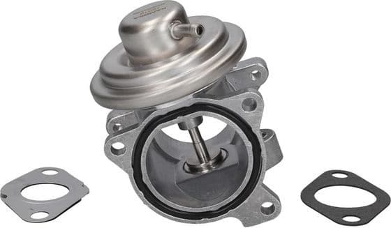 EGR Valve 19019