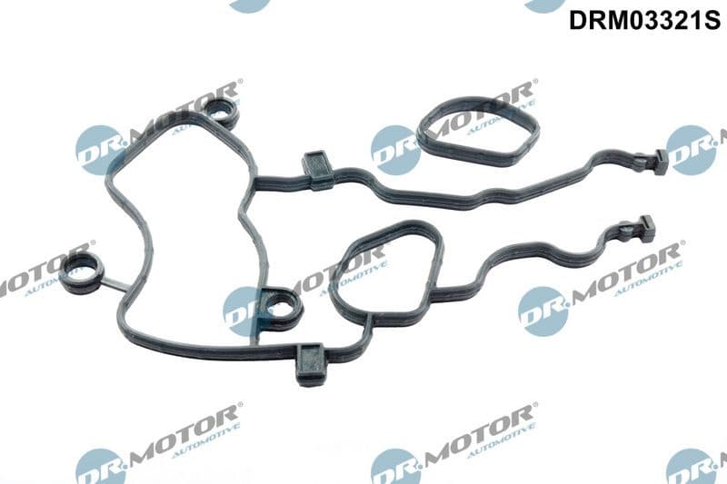 Gasket Kit, timing case DRM03321S