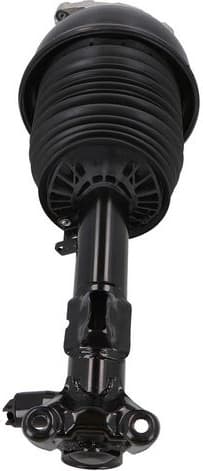 Air Suspension Strut 2070044