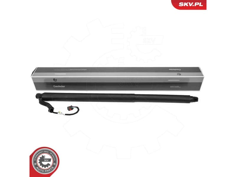 Electric Motor, tailgate 52SKV202