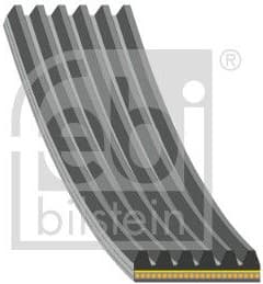 V-ribbed Belt 184930