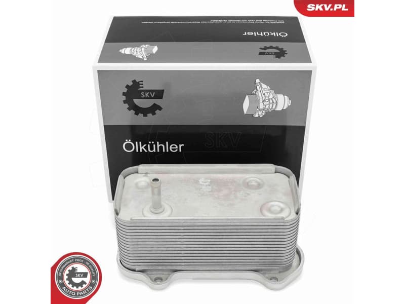 Oil Cooler, engine oil 31SKV334