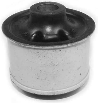 Mounting, control/trailing arm 49398427