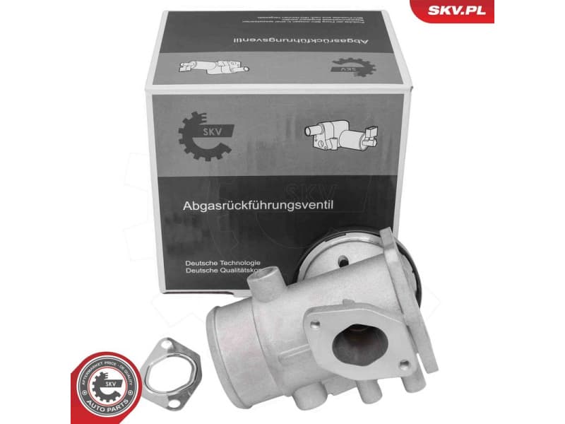 EGR Valve 14SKV298