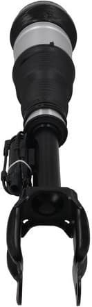 Air Suspension Strut 2070116 - image 2