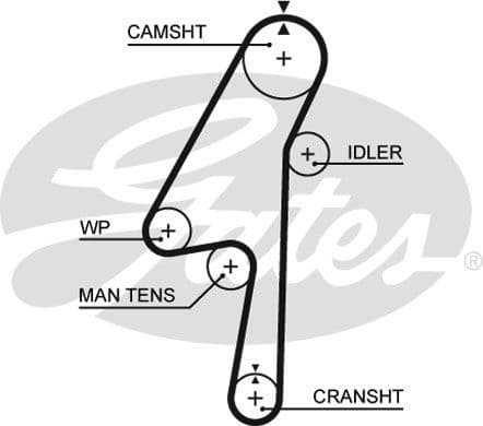 Timing Belt PowerGrip™ 5580XS