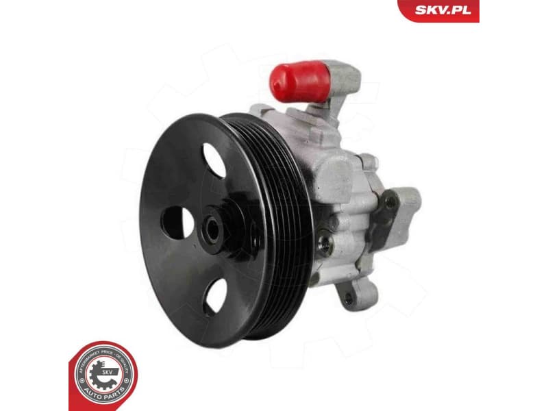 Hydraulic Pump, steering 10SKV333