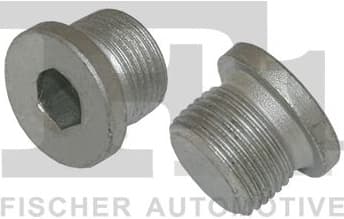 Screw Plug 257.858.001