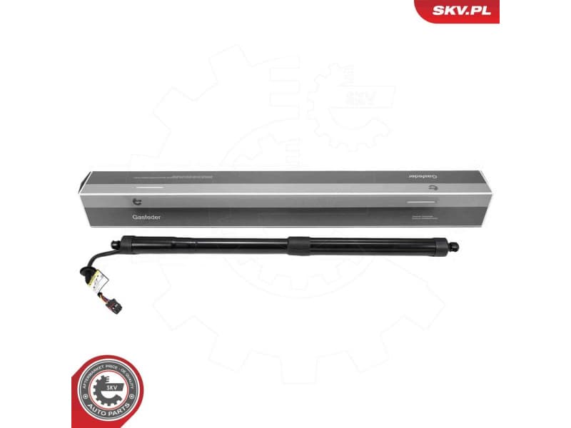 Electric Motor, tailgate 52SKV227