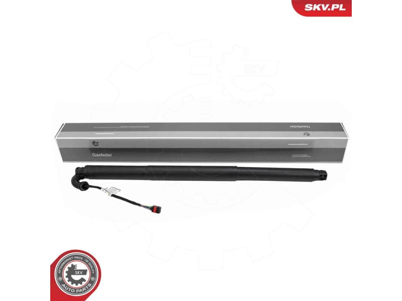 Electric Motor, tailgate 52SKV255