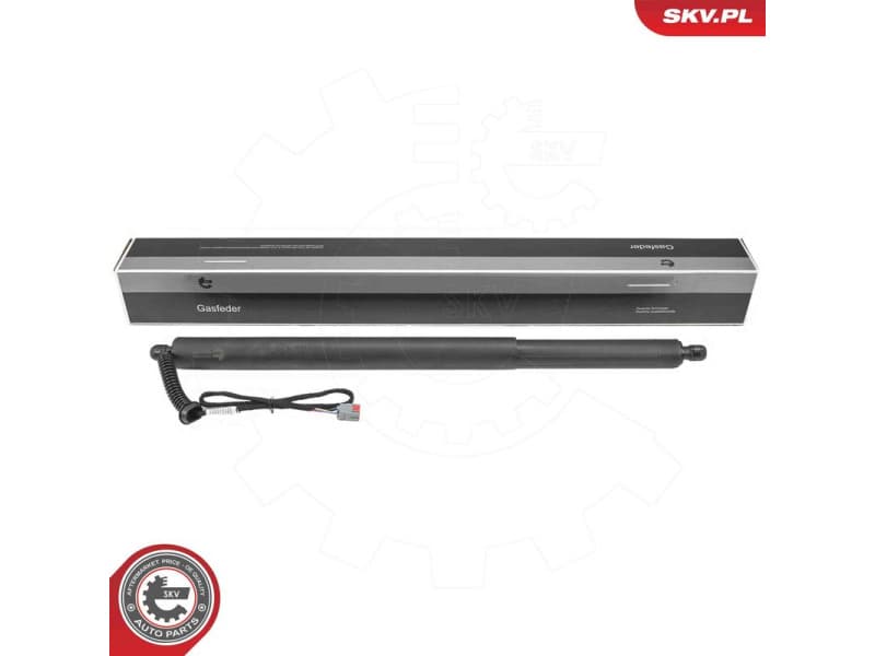 Electric Motor, tailgate 52SKV246