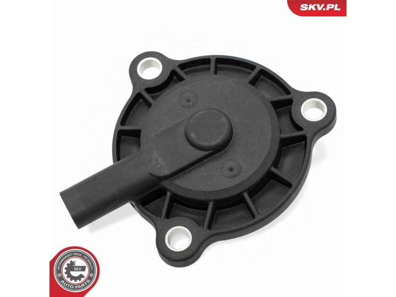 Control Valve, camshaft adjustment 39SKV910 - image 3
