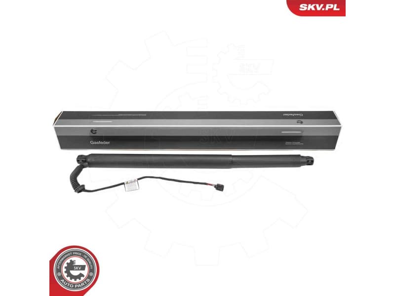 Electric Motor, tailgate 52SKV234