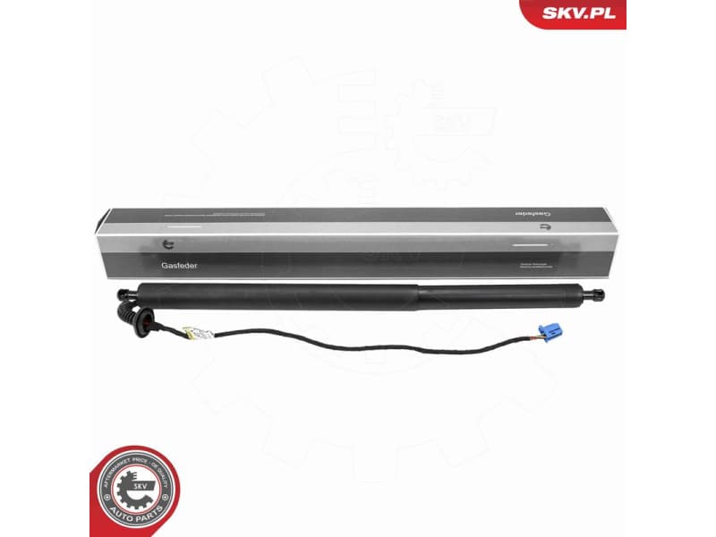 Electric Motor, tailgate 52SKV270