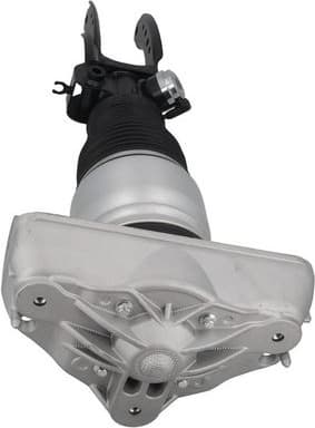 Air Suspension Strut 2070126 - image 3