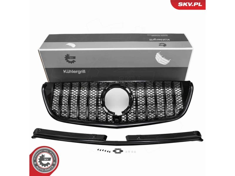 Radiator Grille 66SKV613