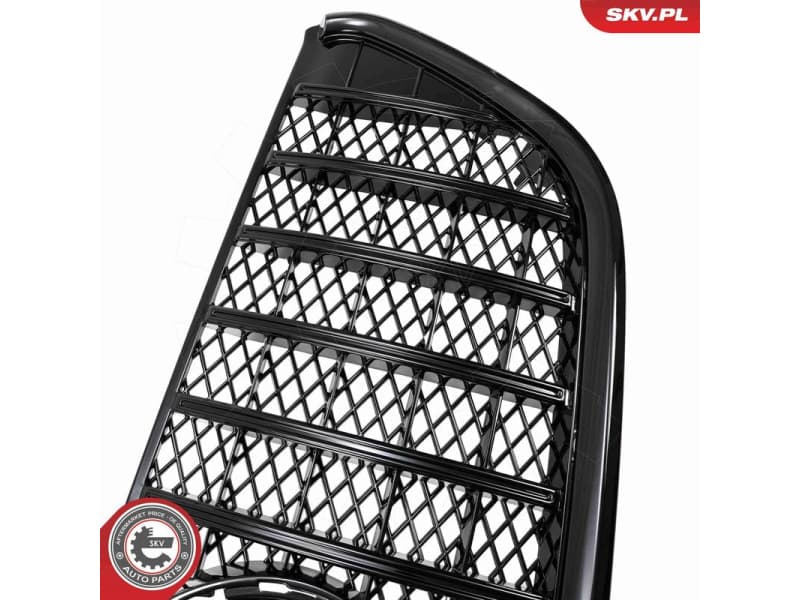 Radiator Grille 66SKV613 - image 5