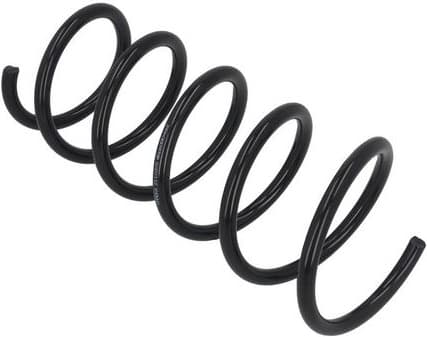 Suspension Spring 2110370