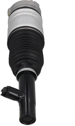 Air Suspension Strut 2070068 - image 2