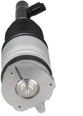 Air Suspension Strut 2070068 - image 4