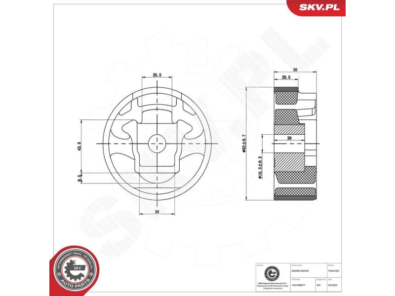Mounting, engine 75SKV307