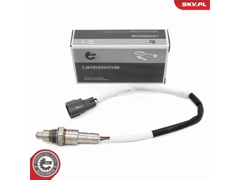 Oxygen Sensor 09SKV194