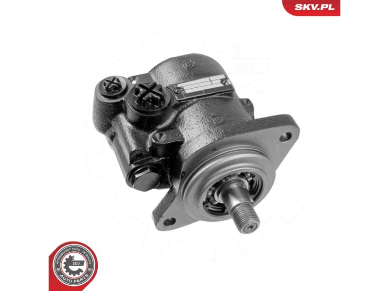 Hydraulic Pump, steering 10SKV316