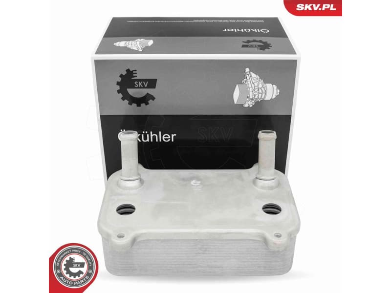 Oil Cooler, engine oil 31SKV299