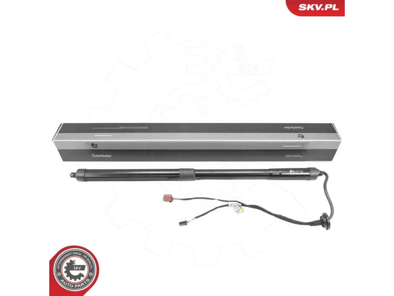 Electric Motor, tailgate 52SKV284