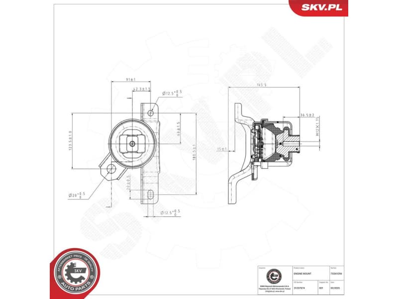 Mounting, engine 75SKV294