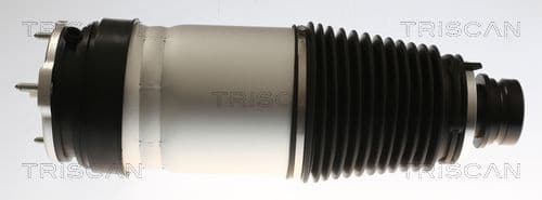 Air Spring, suspension 8720 81101