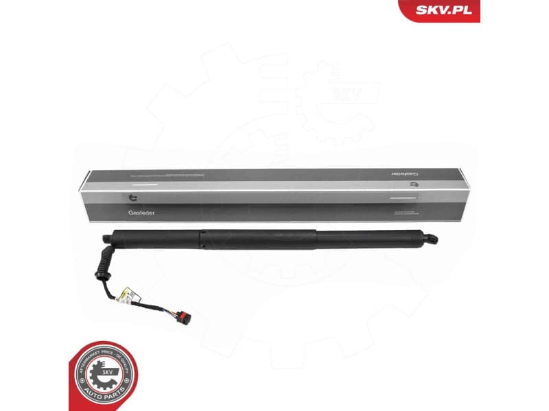 Electric Motor, tailgate 52SKV248